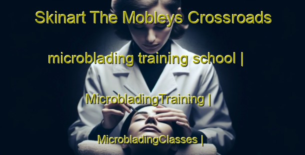 Skinart The Mobleys Crossroads microblading training school | MicrobladingTraining | MicrobladingClasses | SkinartTraining-United States